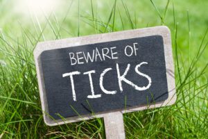 Beware of Ticks