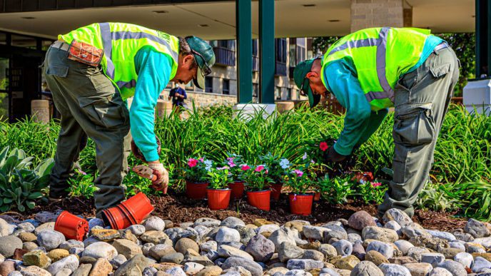 Landscaping San Marcos