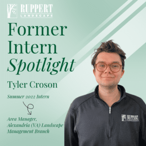 Tyler Croson former intern spotlight