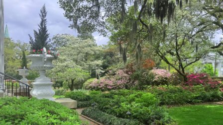 Wilmington Landscaping