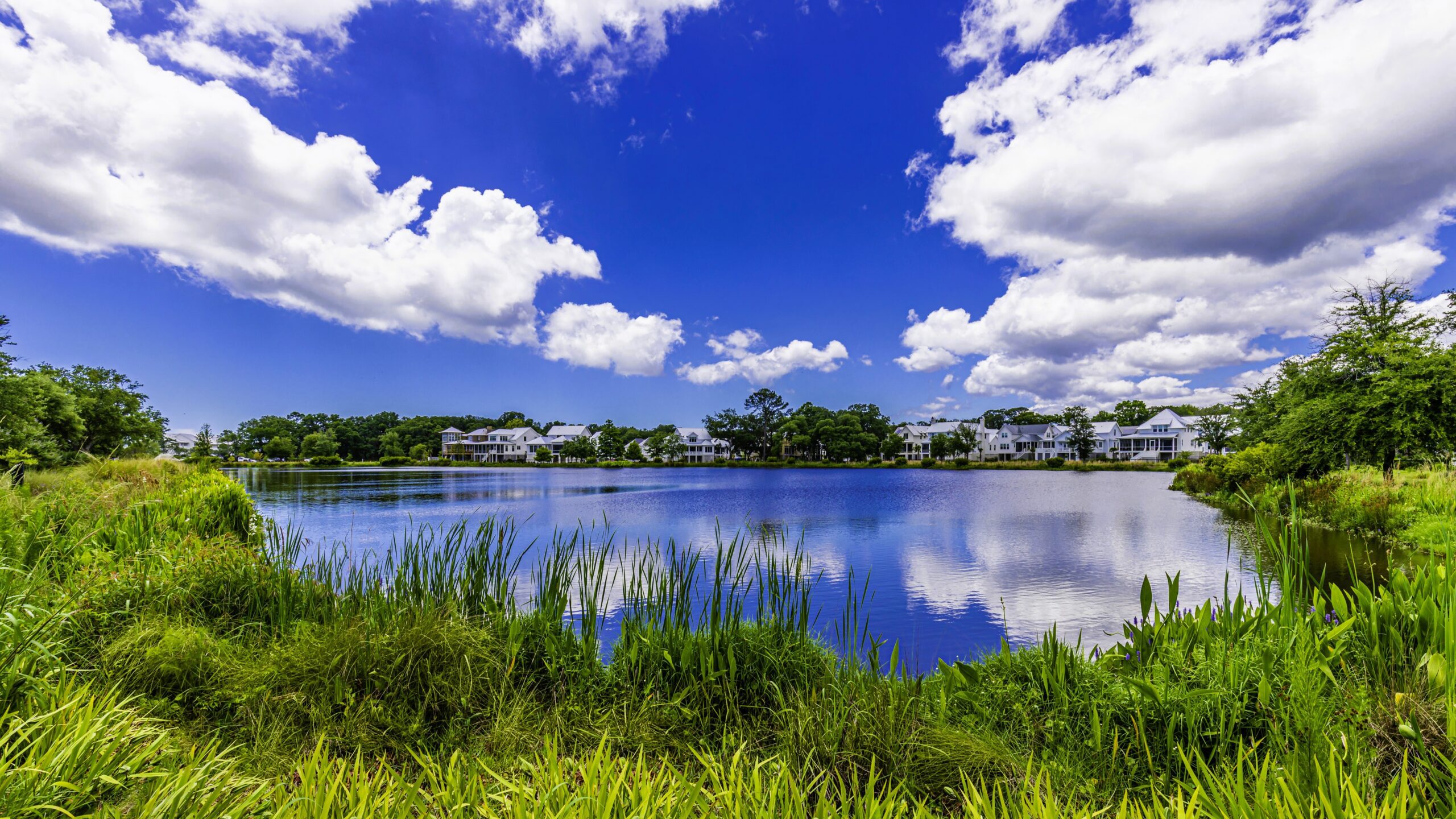 Ruppert Landscape offers pond and lake management services for commercial properties
